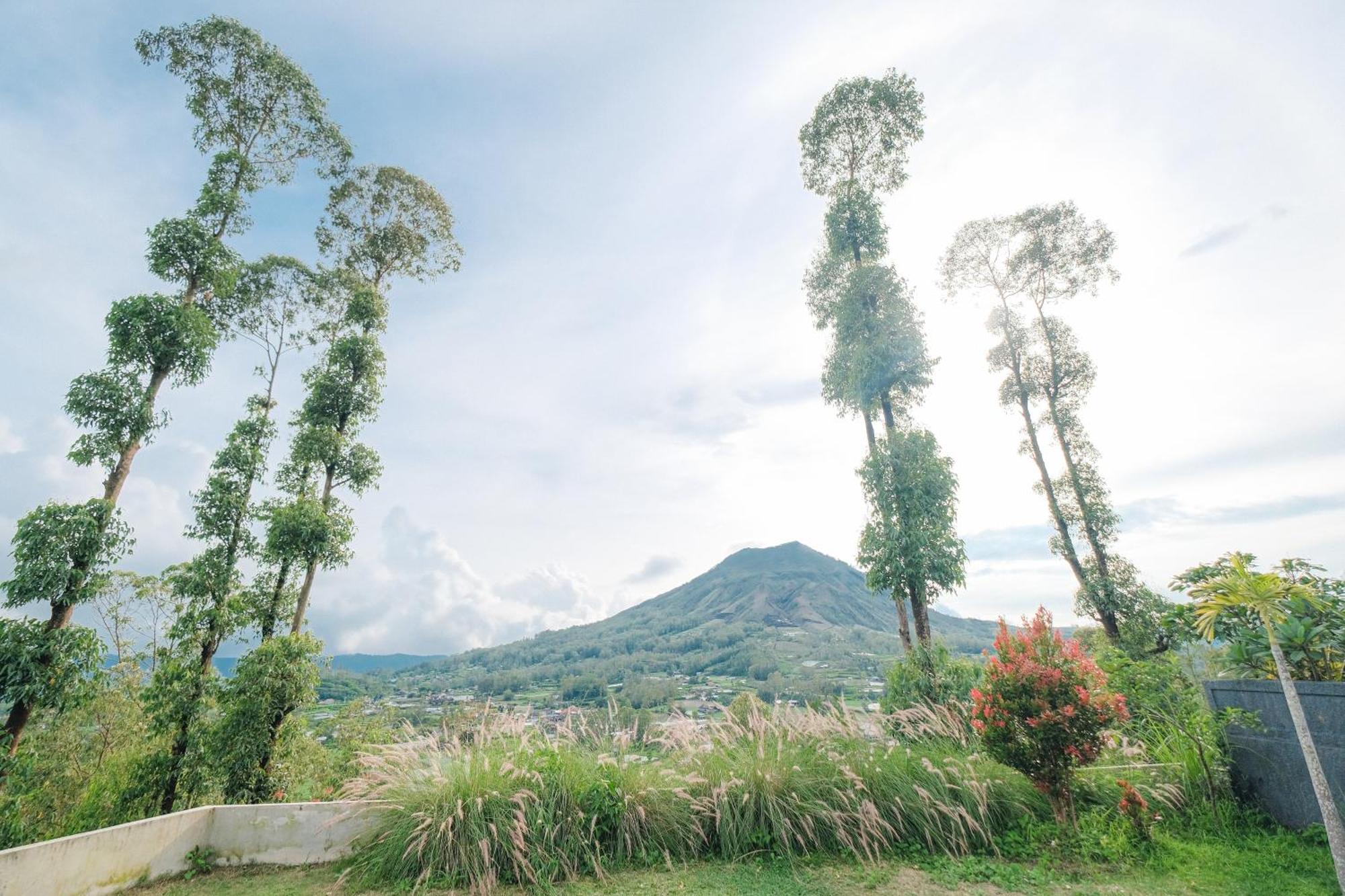 Bunbulan Panorama Bed & Breakfast Kintamani  Exterior photo